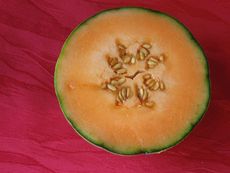 Cantaloupemelone2.JPG